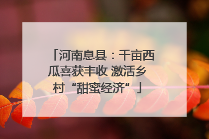 河南息县：千亩西瓜喜获丰收 激活乡村“甜蜜经济”