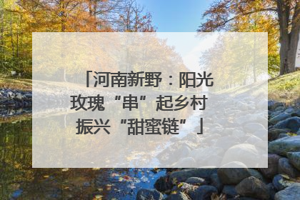 河南新野：阳光玫瑰“串”起乡村振兴“甜蜜链”