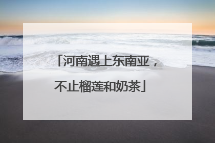 河南遇上东南亚，不止榴莲和奶茶