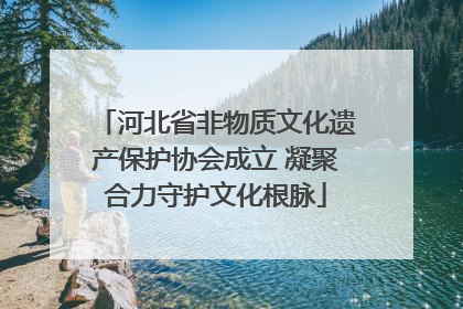 河北省非物质文化遗产保护协会成立 凝聚合力守护文化根脉