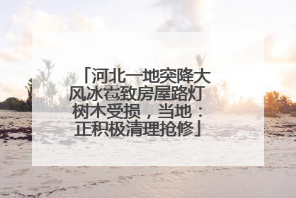 河北一地突降大风冰雹致房屋路灯树木受损，当地：正积极清理抢修