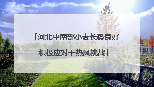 河北中南部小麦长势良好 积极应对干热风挑战