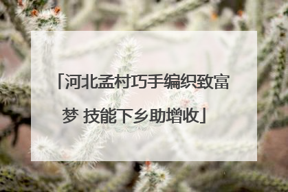 河北孟村巧手编织致富梦 技能下乡助增收