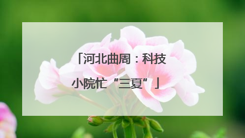 河北曲周：科技小院忙“三夏”