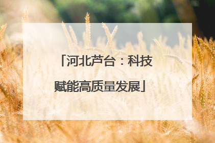 河北芦台：科技赋能高质量发展