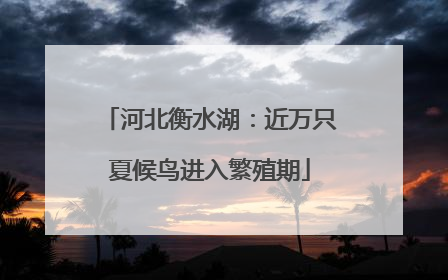 河北衡水湖：近万只夏候鸟进入繁殖期