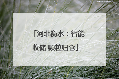 河北衡水：智能收储 颗粒归仓