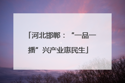 河北邯郸：“一品一播”兴产业惠民生