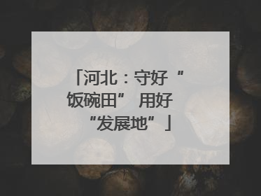 河北：守好“饭碗田” 用好“发展地”