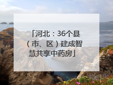 河北：36个县（市、区）建成智慧共享中药房