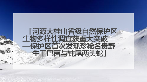 河源大桂山省级自然保护区生物多样性调查获重大突破——保护区首次发现珍稀名贵野生干巴菌与钝尾两头蛇