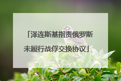 泽连斯基指责俄罗斯未履行战俘交换协议