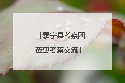 泰宁县考察团莅惠考察交流
