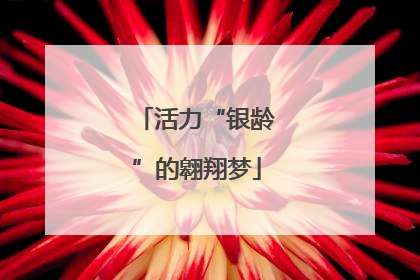 活力“银龄”的翱翔梦