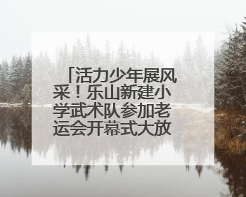活力少年展风采！乐山新建小学武术队参加老运会开幕式大放异彩