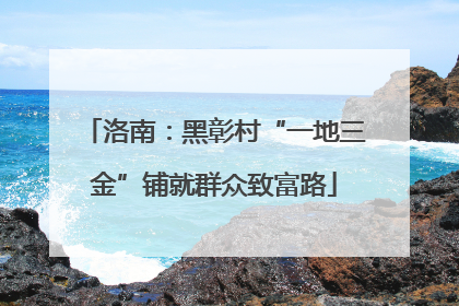 洛南：黑彰村“一地三金”铺就群众致富路