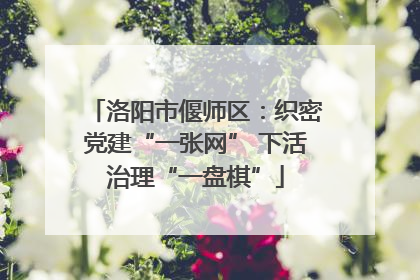洛阳市偃师区：织密党建“一张网” 下活治理“一盘棋”