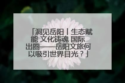 洞见岳阳丨生态赋能 文化铸魂 国际出圈——岳阳文旅何以吸引世界目光？