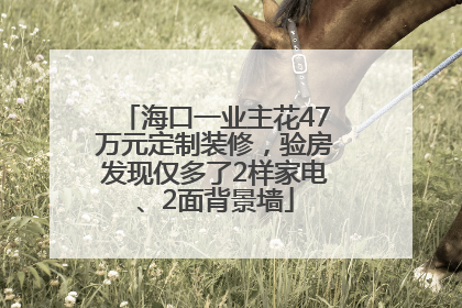 海口一业主花47万元定制装修，验房发现仅多了2样家电、2面背景墙