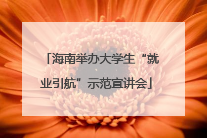 海南举办大学生“就业引航”示范宣讲会