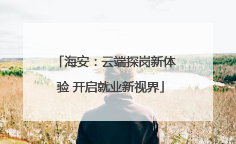 海安：云端探岗新体验 开启就业新视界