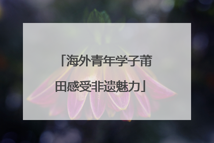 海外青年学子莆田感受非遗魅力