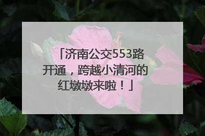 济南公交553路开通，跨越小清河的红墩墩来啦！