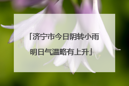 济宁市今日阴转小雨 明日气温略有上升