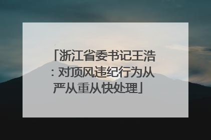 浙江省委书记王浩：对顶风违纪行为从严从重从快处理