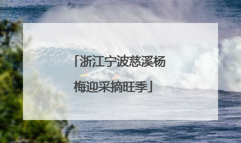 浙江宁波慈溪杨梅迎采摘旺季