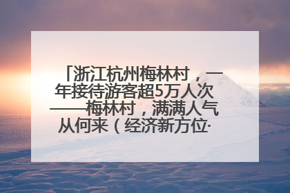 浙江杭州梅林村，一年接待游客超5万人次——梅林村，满满人气从何来（经济新方位·农村消费观察）