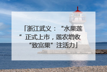 浙江武义：“水果莲”正式上市，莲农增收“致富果”注活力