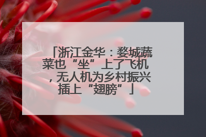 浙江金华：婺城蔬菜也“坐”上了飞机，无人机为乡村振兴插上“翅膀”