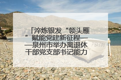 淬炼银发“领头雁”赋能党建新征程——泉州市举办离退休干部党支部书记能力建设专题培训