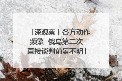 深观察丨各方动作频繁  俄乌第二次直接谈判前景不明