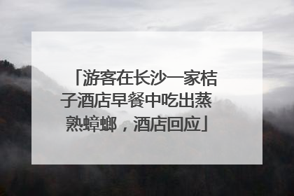 游客在长沙一家桔子酒店早餐中吃出蒸熟蟑螂，酒店回应