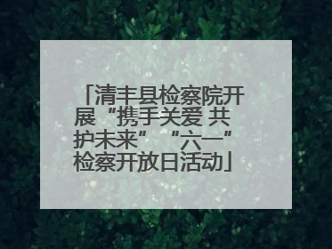 清丰县检察院开展“携手关爱 共护未来”“六一”检察开放日活动