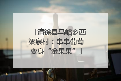 清徐县马峪乡西梁泉村：串串葡萄变身“金果果”