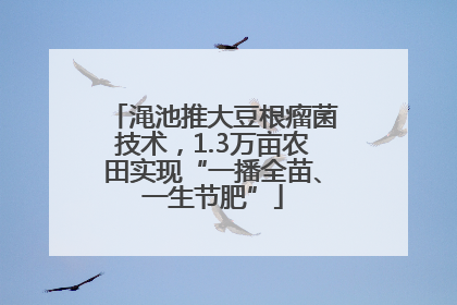 渑池推大豆根瘤菌技术，1.3万亩农田实现“一播全苗、一生节肥”
