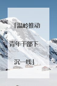 温岭推动青年干部下沉一线