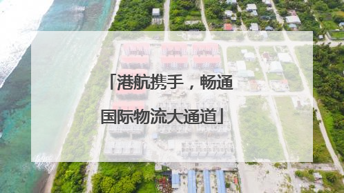 港航携手，畅通国际物流大通道