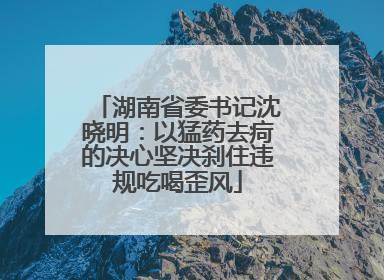 湖南省委书记沈晓明：以猛药去疴的决心坚决刹住违规吃喝歪风