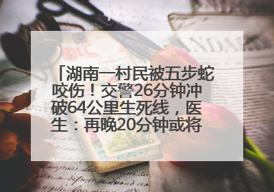 湖南一村民被五步蛇咬伤！交警26分钟冲破64公里生死线，医生：再晚20分钟或将呼吸肌麻痹