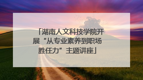 湖南人文科技学院开展“从专业素养到职场胜任力”主题讲座