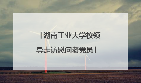 湖南工业大学校领导走访慰问老党员