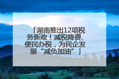 湖南推出12项税务新政！减税降费、便民办税，为民企发展“减负加油”