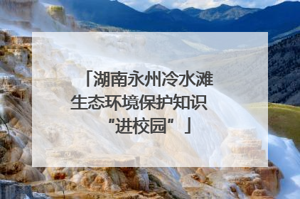 湖南永州冷水滩生态环境保护知识“进校园”