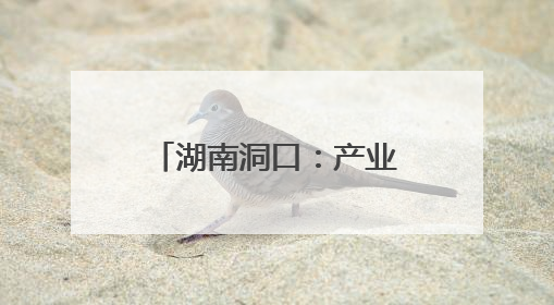 湖南洞口：产业提质增效 绘就乡村振兴新图景