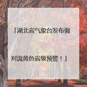 湖北省气象台发布强对流黄色省级预警！