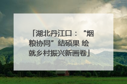 湖北丹江口：“烟粮协同”结硕果 绘就乡村振兴新画卷